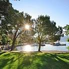 Un parco con alberi e un lago tranquillo al tramonto.
