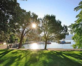 Sunlight filtering through trees by a lake with boats.