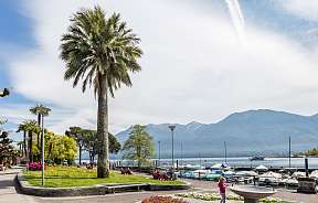 Lungolago Muralto Ascona Locarno Tourism foto Alessio Pizzicannella