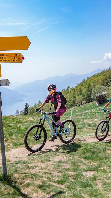 Attractive mountain bike trails